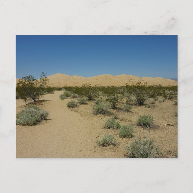 Carte Postale Dunes de Kelso au Mojave National Park (Devant)