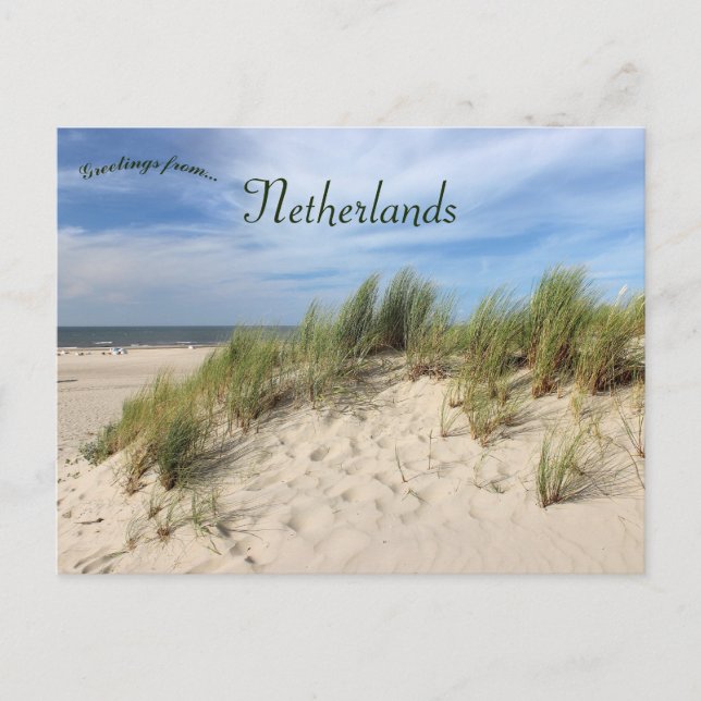 Carte Postale Dunes de la plage de Vlieland Pays-Bas (Devant)