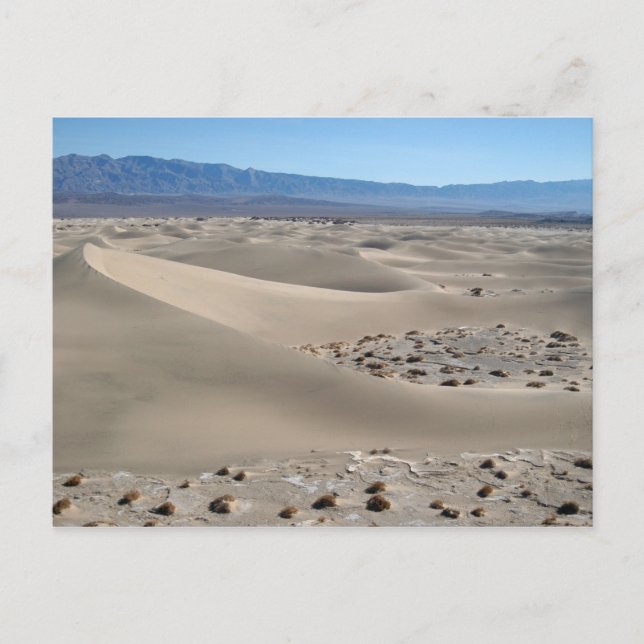 Carte Postale Dunes de la vallée de la Mort 2 (Devant)