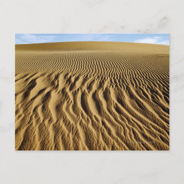 Carte Postale Dunes de Mesquite, parc national de la vallée de l (Devant)