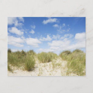 Carte Postale Dunes de sable