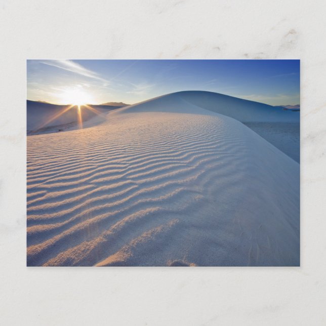 Carte Postale Dunes de sable à White Sands National Monument en  (Devant)