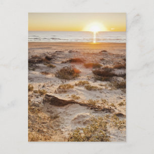 Carte Postale Dunes De Sable De La Plage De Malaquite