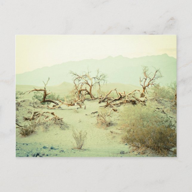 Carte Postale Dunes de sable de la vallée de la Mort (Devant)