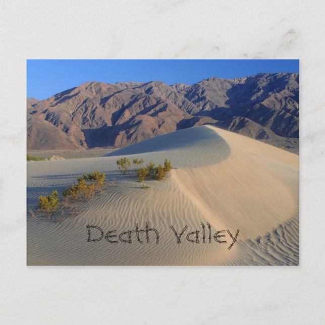 Carte Postale Dunes de sable de la vallée de la Mort (Devant)