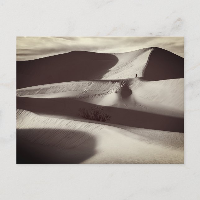 Carte Postale Dunes de sable de Mesquite Vallée de la mort (Devant)