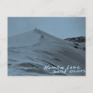 Carte Postale Dunes de sable du lac Hamlin, Michigan