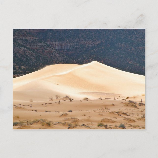 Carte Postale Dunes de sable rose corail (Devant)