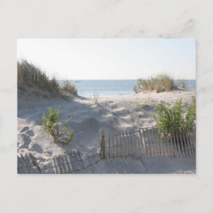 Carte Postale Dunes d'Ocean City