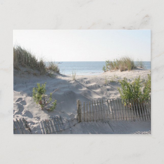 Carte Postale Dunes d'Ocean City (Devant)