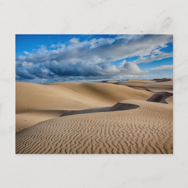 Carte Postale Dunes infinies (Devant)