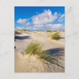 Carte Postale Dunes sur l'île de la mer du Nord Amrum
