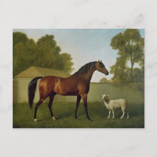 Carte Postale Dungannon, la propriété de colonel O'Kelly