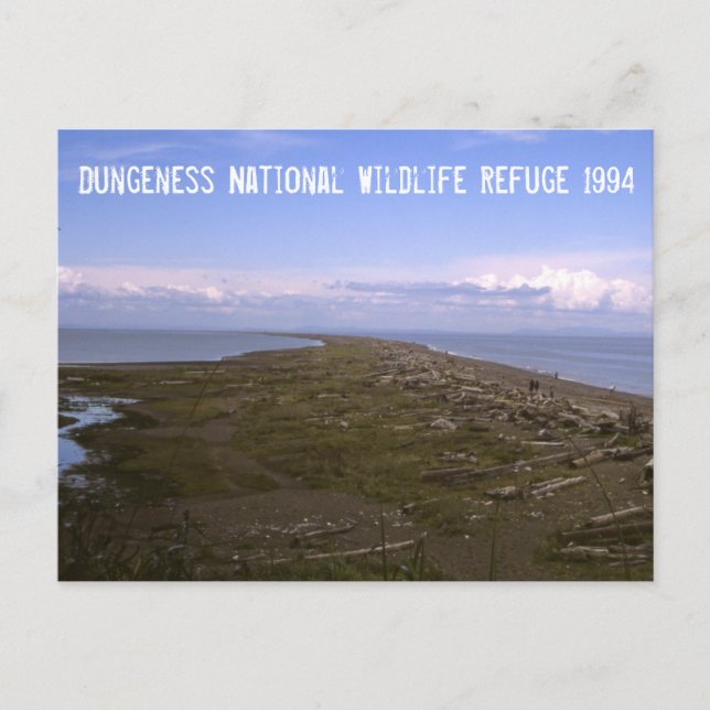 Carte Postale Dungeness National Wildlife Refuge (Devant)