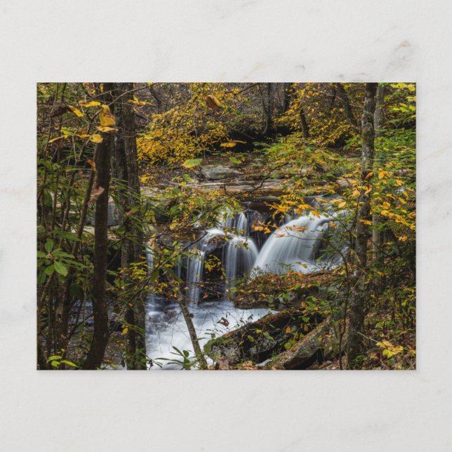 Carte Postale Dunloup Creek Falls | West Virginia (Devant)