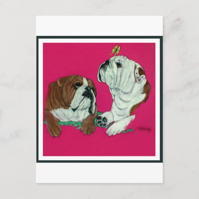 Carte Postale Duo de Bulldog anglais (Devant)
