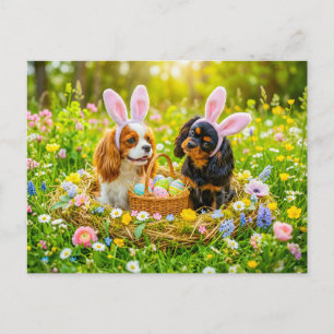 Carte Postale Duo de Spaniel dans un nid de Pâques prairie