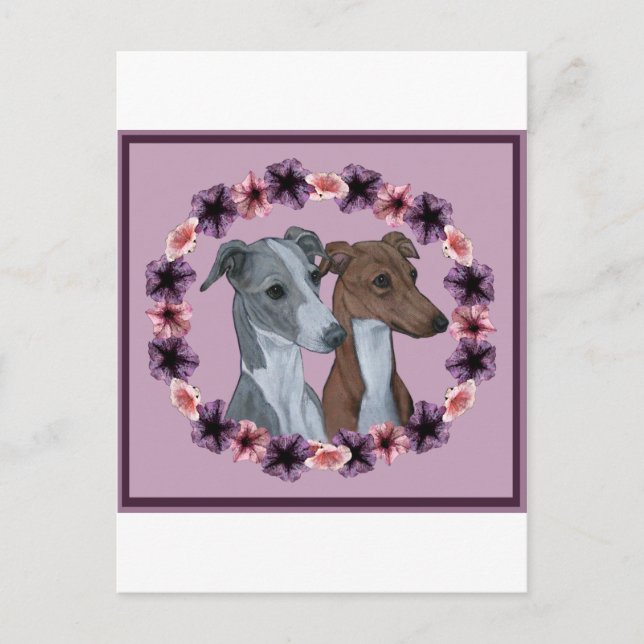 CARTE POSTALE DUO ITALIEN GREYHOUND (Devant)