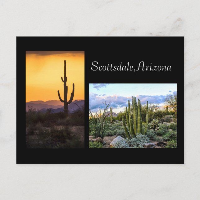 Carte Postale Duo paysage de Scottsdale (Devant)