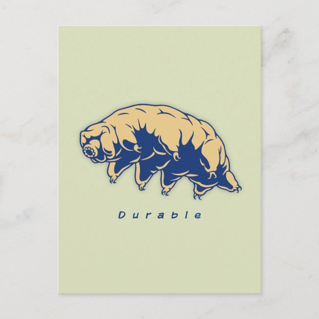 Carte Postale Durable - Tardigrade (Devant)