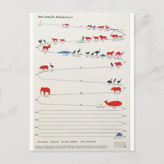 Carte Postale Durée de vie des animaux