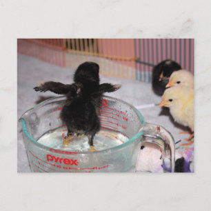 Carte Postale Durée du bain