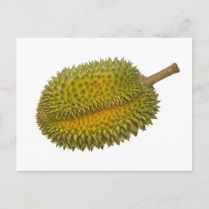 Carte Postale Durian