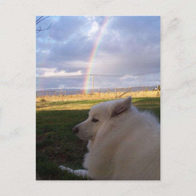 Carte Postale Dusty Charms (Devant)