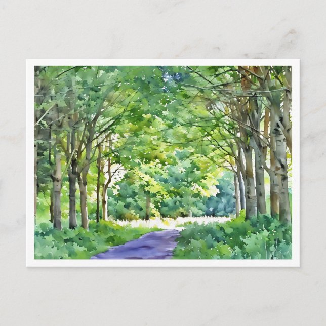 Carte Postale Dutch Salland Region Westerveldse Bos Forest (Devant)