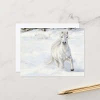 Dyfra le cheval islandais galopant dans la neige