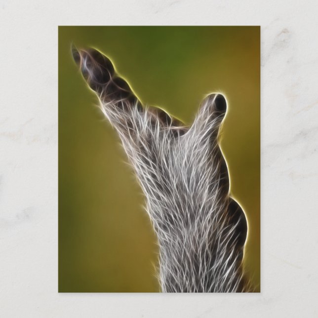 CARTE POSTALE E.T. (Devant)