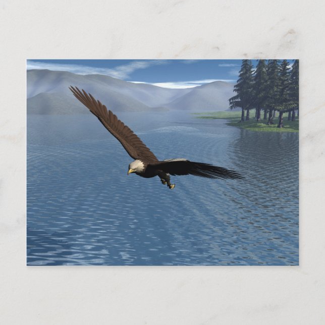Carte Postale Eagle (Devant)