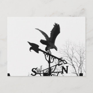 Carte Postale Eagle and Arrow