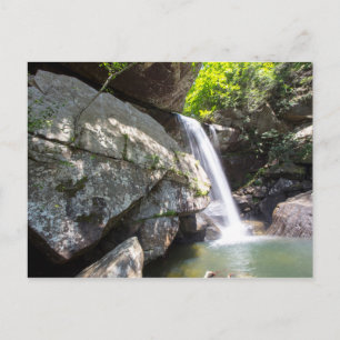 Carte Postale Eagle Cliff Falls, Kentucky