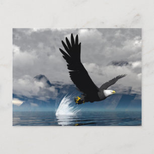 Carte postale Eagle en pleine ascension