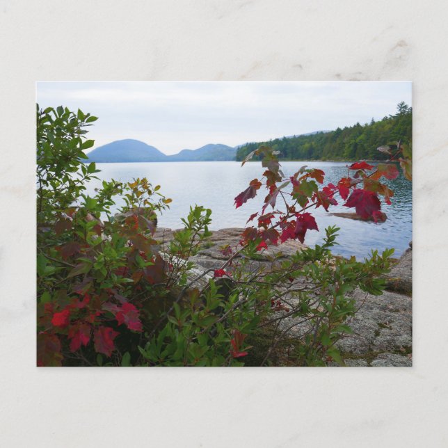Carte Postale Eagle Lake et feuilles de érable rouges I (Devant)
