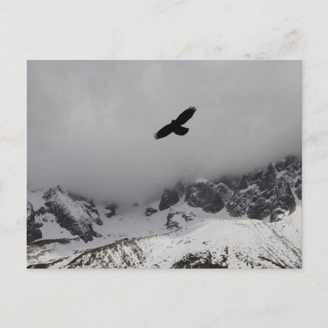 Carte postale Eagle Snowy Mountains (Devant)
