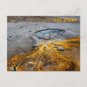 Carte Postale Ear Spring Parc national Yellowstone