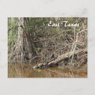 Carte postale East Texas