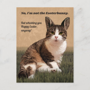 Carte Postale 😸-Easterbunny 🐰