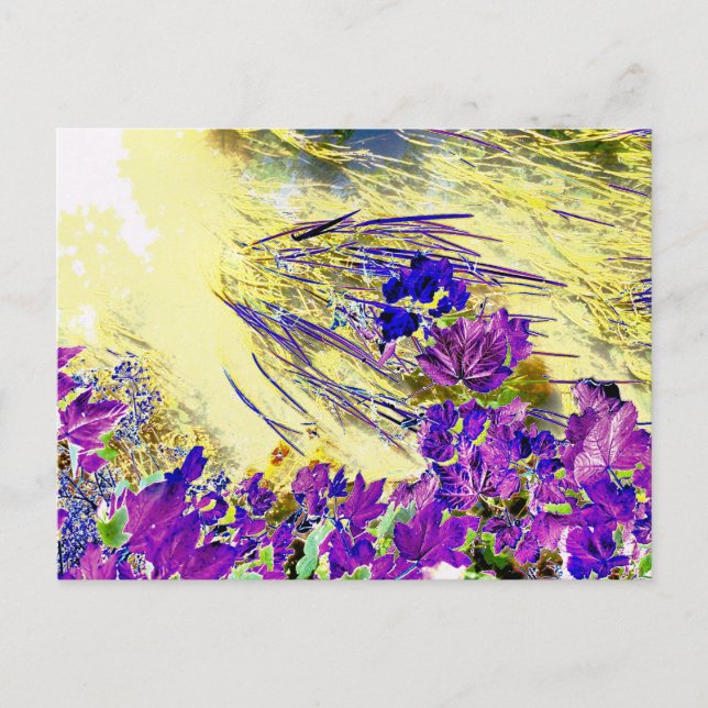 CARTE POSTALE EAU (Devant)