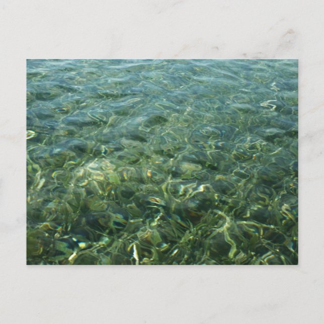 Carte Postale Eau au-dessus de la mer Herbe I Caraïbes Nature (Devant)