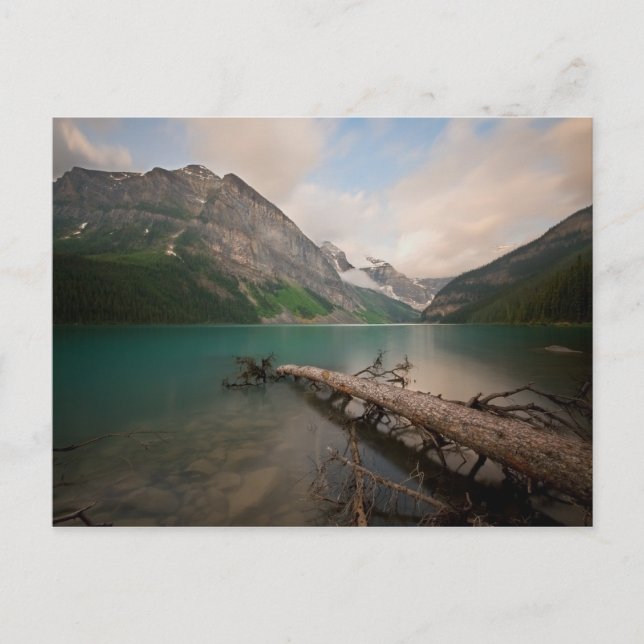 Carte Postale Eau consignée (Devant)