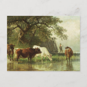 Carte Postale Eau de bétail dans un paysage fluvial