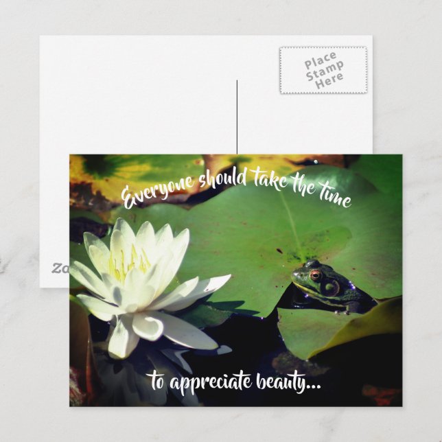 Carte Postale Eau de grenouille Lily Beauté Inspiration (Devant / Derrière)