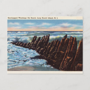 Carte Postale Eau de mer, Long Beach Island, New Jersey