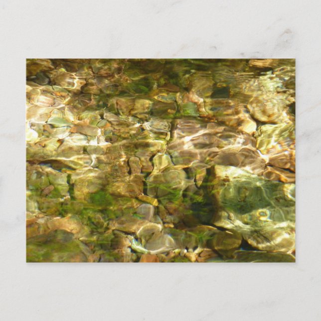 Carte Postale Eau de sources chaudes Green-Gold Nature (Devant)