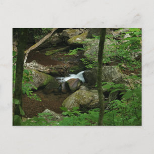 Carte Postale Eau froide