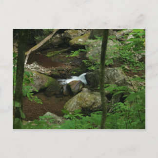 Carte Postale Eau froide