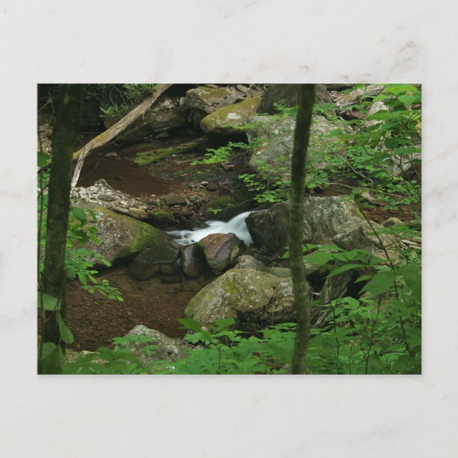 Carte Postale Eau froide (Devant)